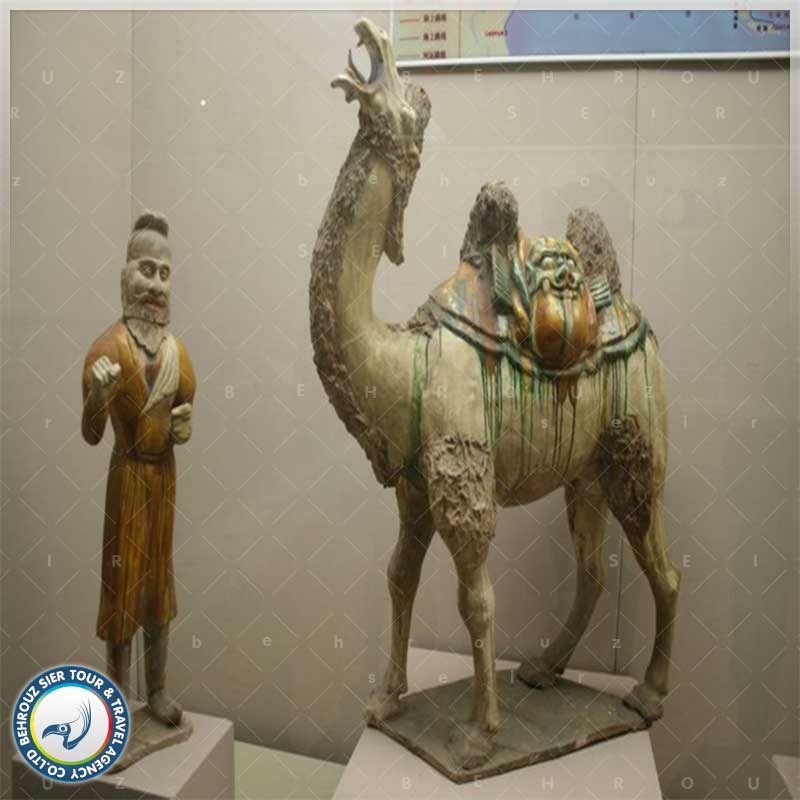 محوطه-های-نمایشگاهی-در-موزه-شهر-لویانگ-بهروزسیر