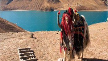 دریاچه یامدورک - فلات تبت